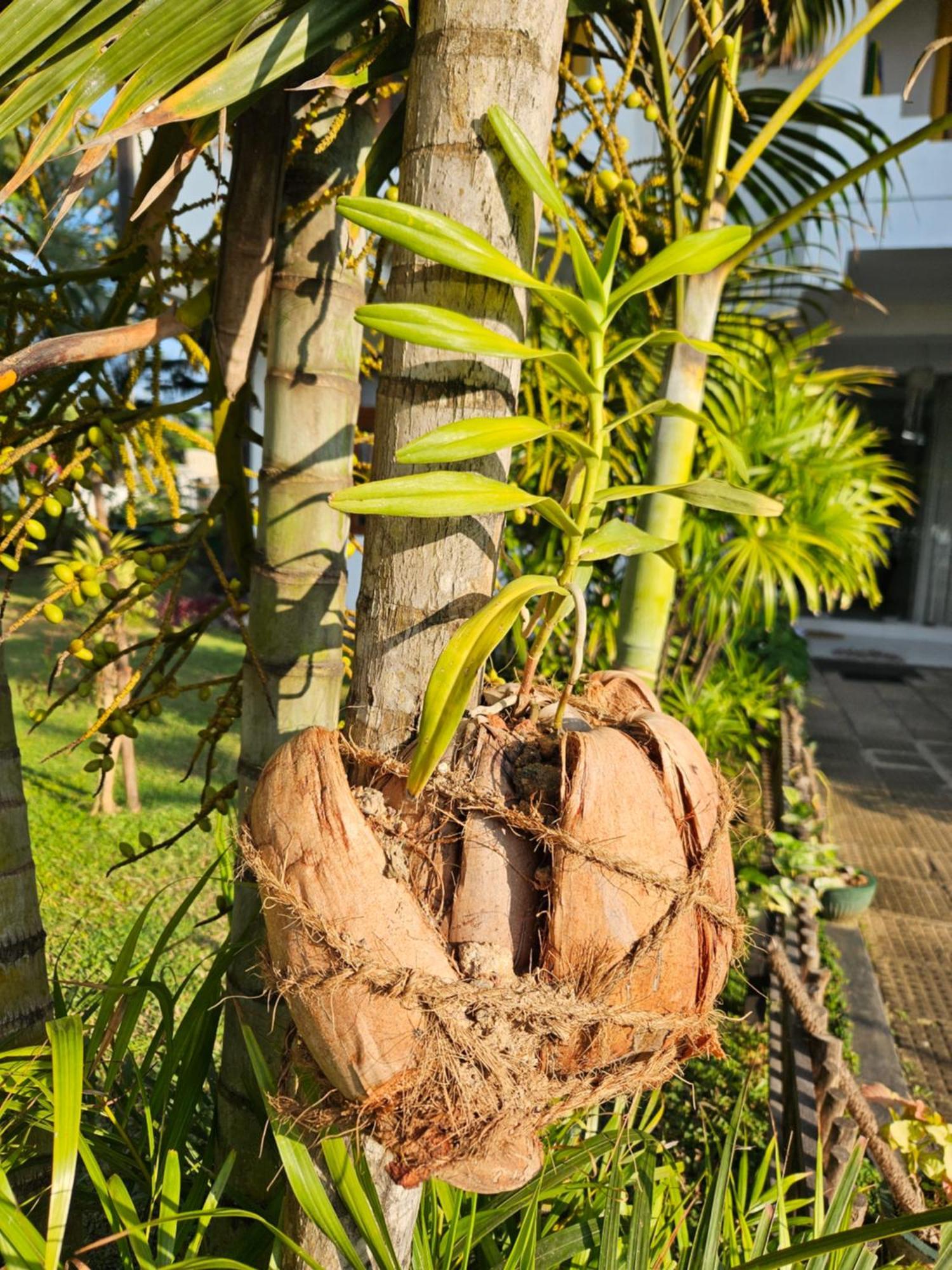 Balance Beach Resort Dikwella Sur Exterior foto