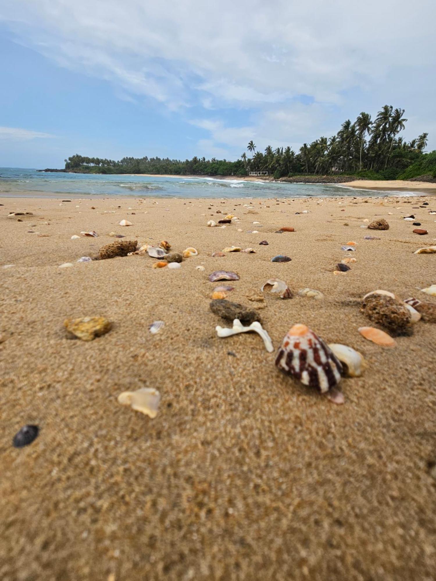 Balance Beach Resort Dikwella Sur Exterior foto