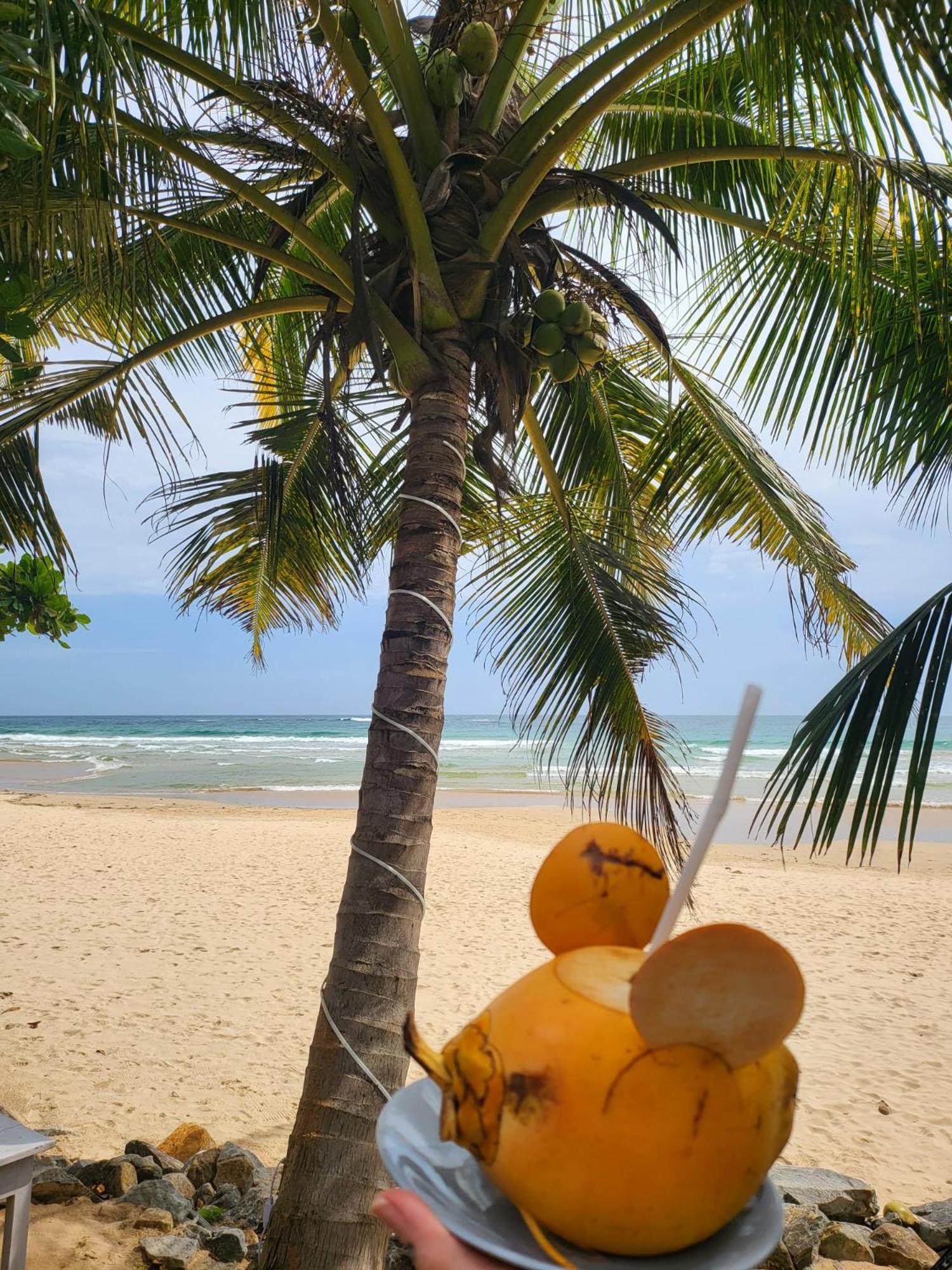 Balance Beach Resort Dikwella Sur Exterior foto