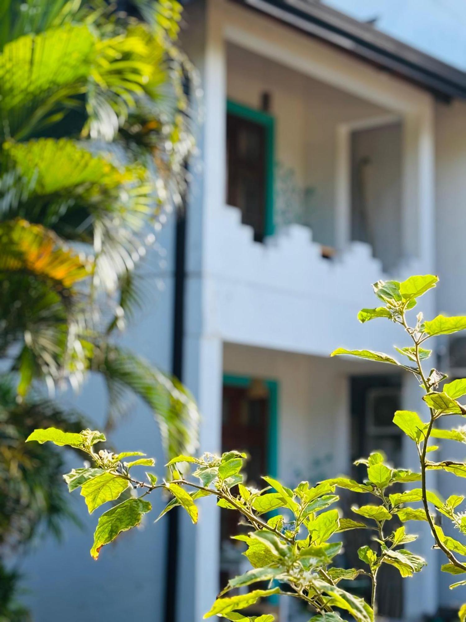 Balance Beach Resort Dikwella Sur Exterior foto
