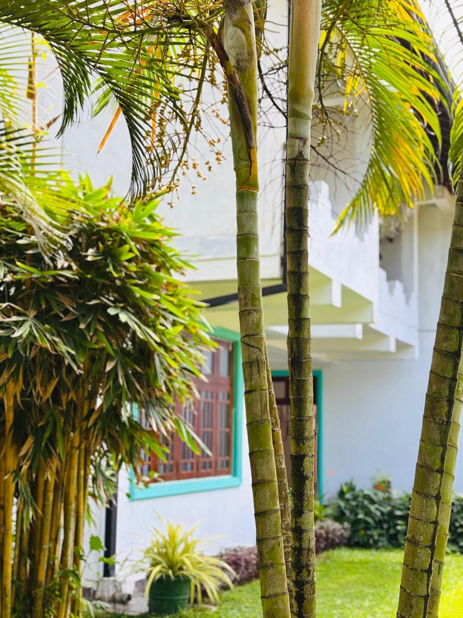 Balance Beach Resort Dikwella Sur Exterior foto