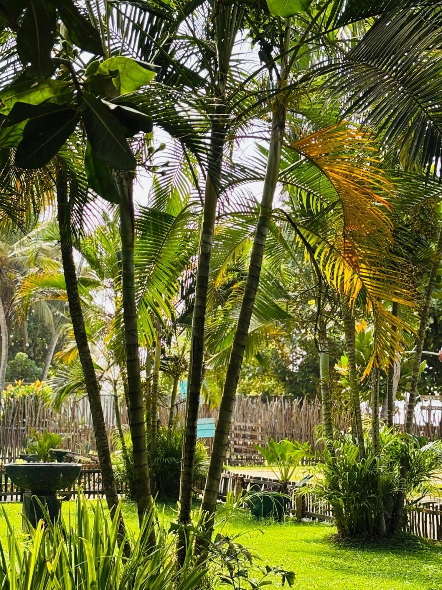 Balance Beach Resort Dikwella Sur Exterior foto