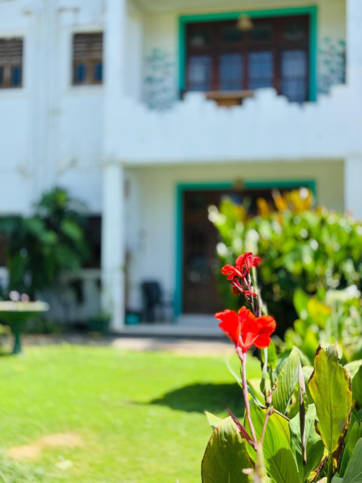 Balance Beach Resort Dikwella Sur Exterior foto